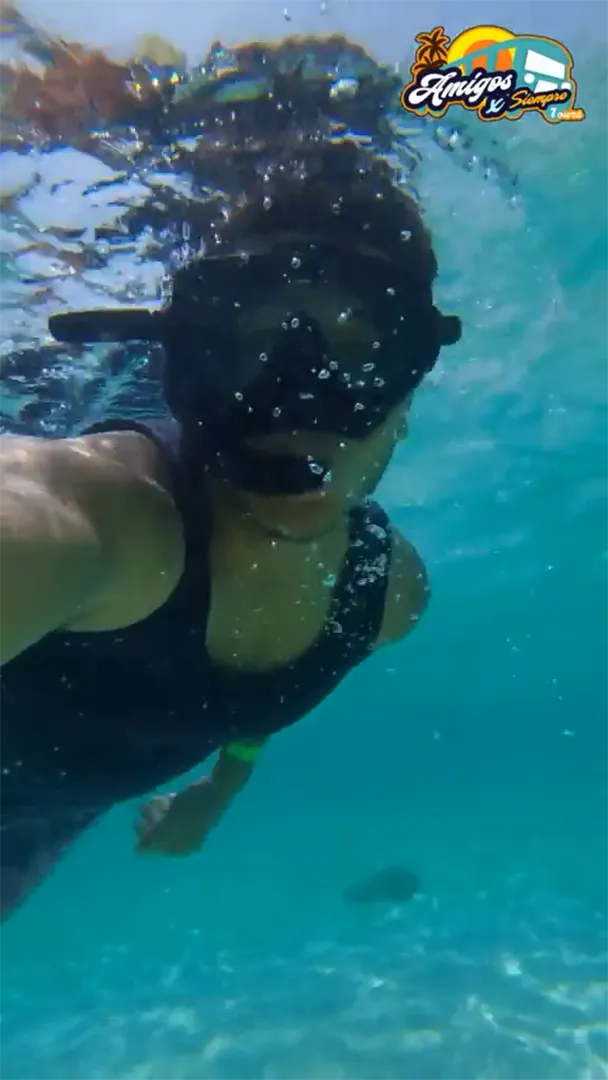 Cayo Arena